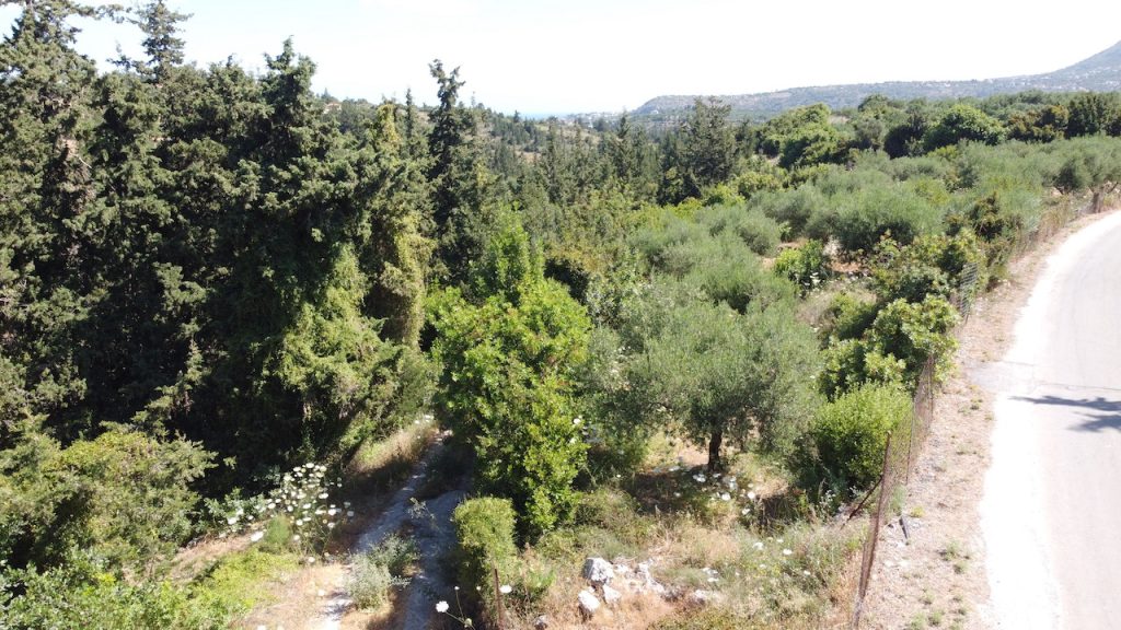 PLOT WITH MOUNTAIN VIEW IN THE VILLAGE OF GAVALOHORI