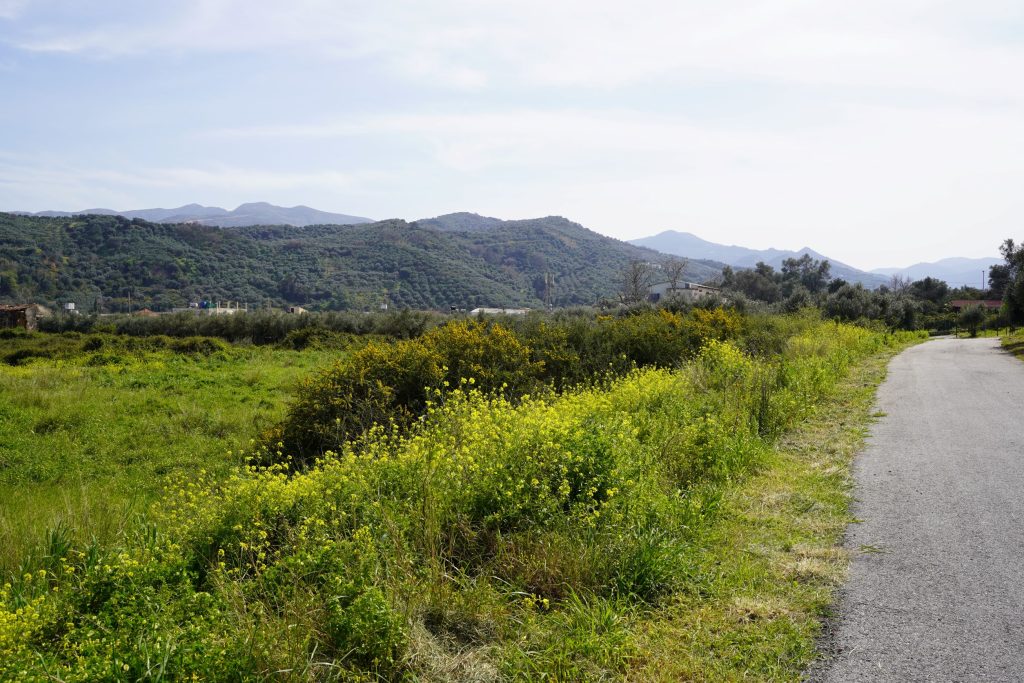 TERRAIN CONSTRUCTIBLE DANS LE BEAU VILLAGE DE VOUKOLIES