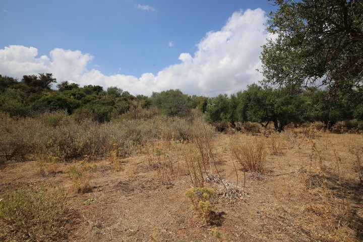 LAND PLOT WITH SEA VIEW IN GAVALOHORI