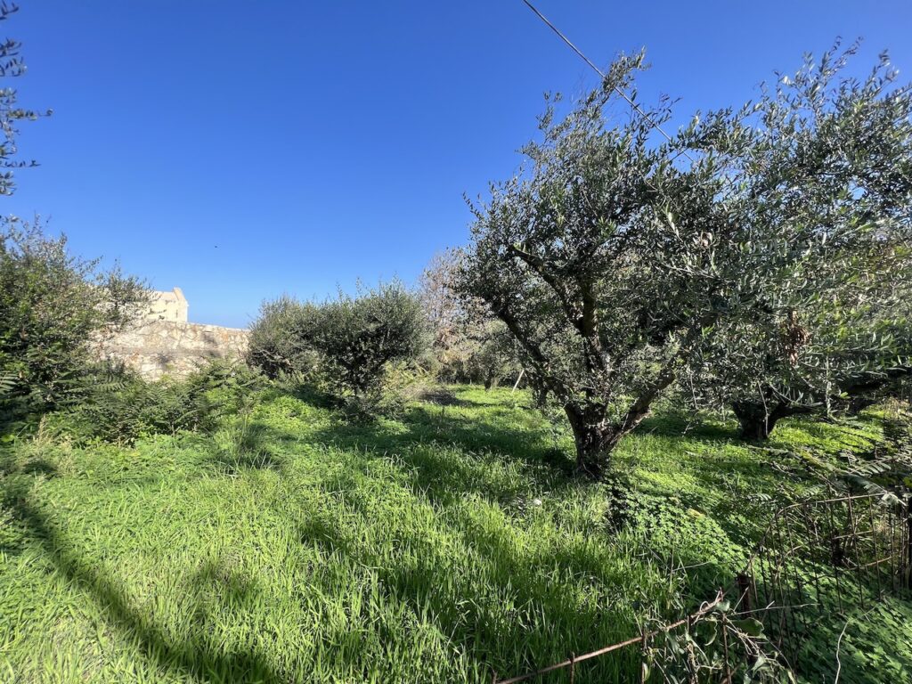 SMALL LAND PLOT CLOSE TO THE BEACH