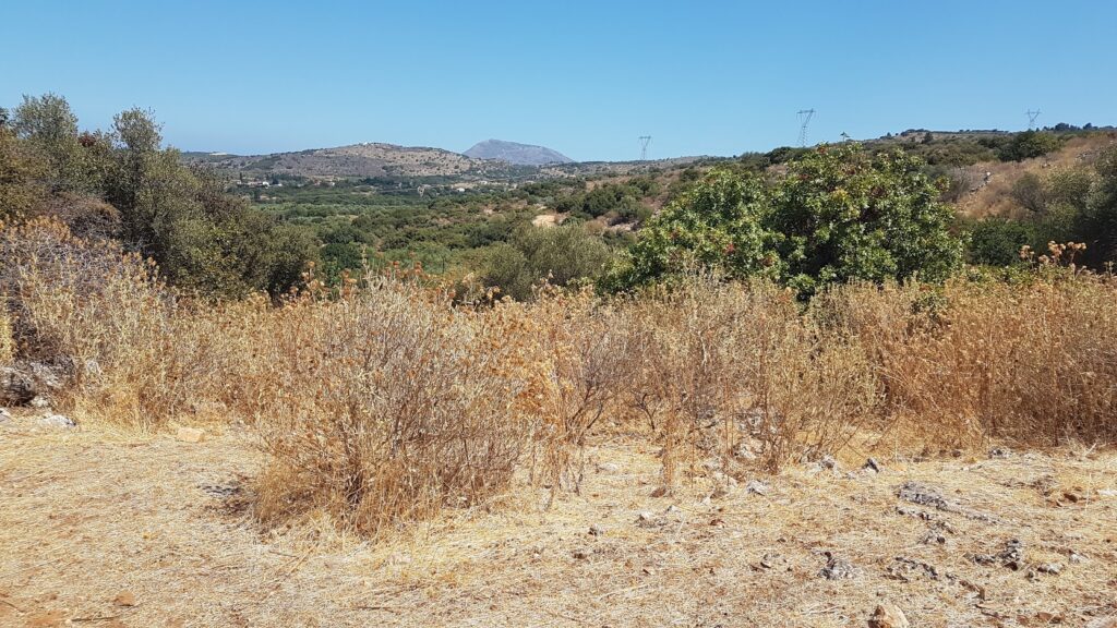 LARGE PLOT WITH SEA VIEW IN NEO CHORIO