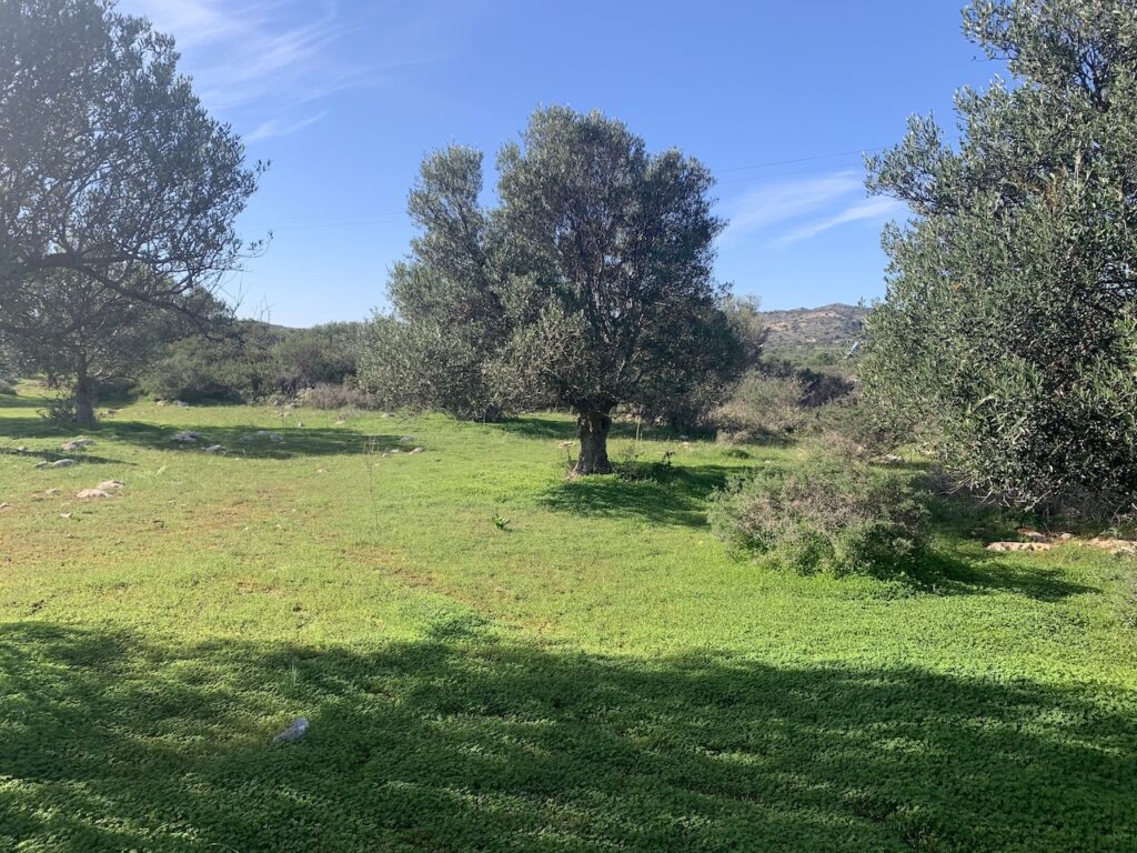 TERRAIN A MOUZOURAS