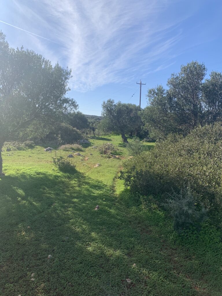 LAND PLOT IN MOUZOURAS