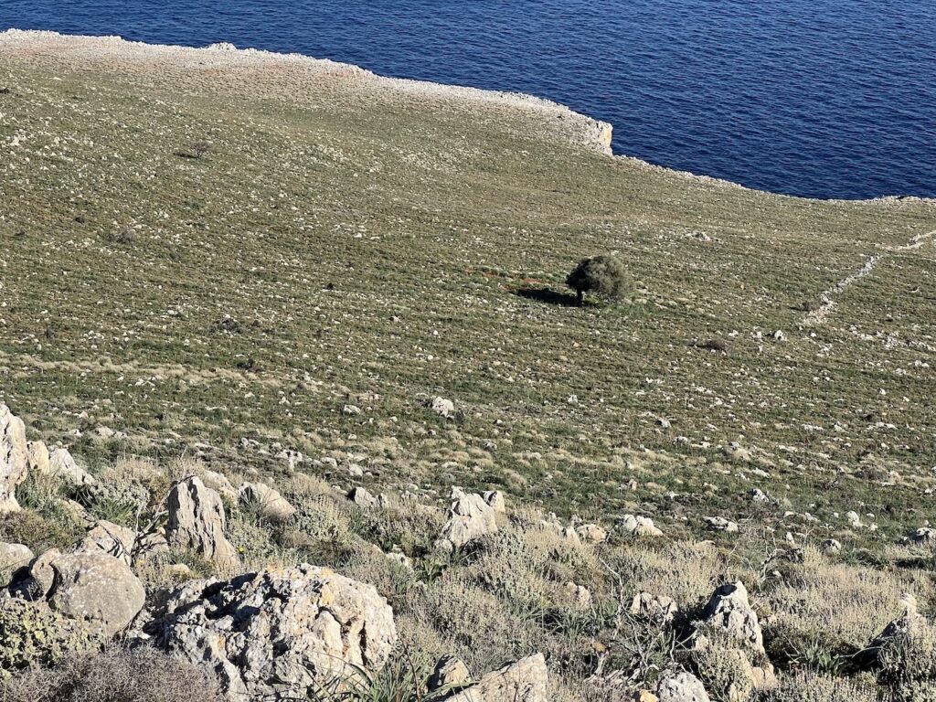 A vendre un grand terrain avec vue dégagée sur la mer à Kokkino Chorio.