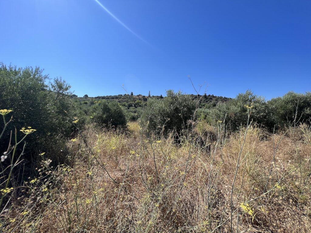 LAND PLOT WITH MOUNTAIN VIEW IN KALYVES