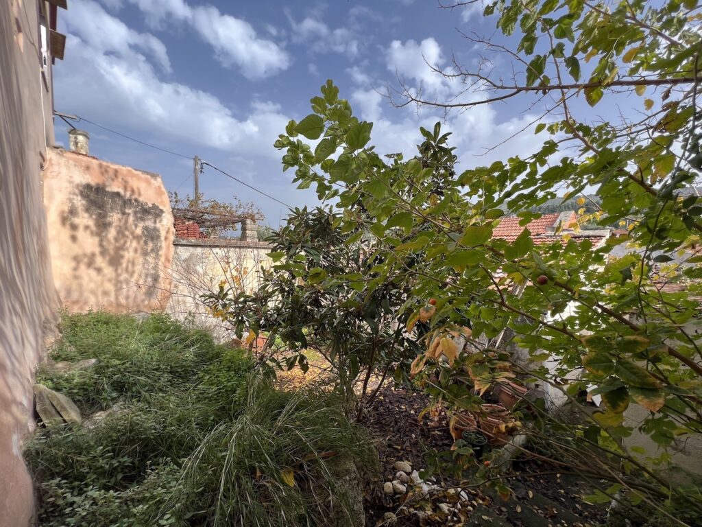 OLD HOUSE FOR RESTORATION IN GAVALOHORI