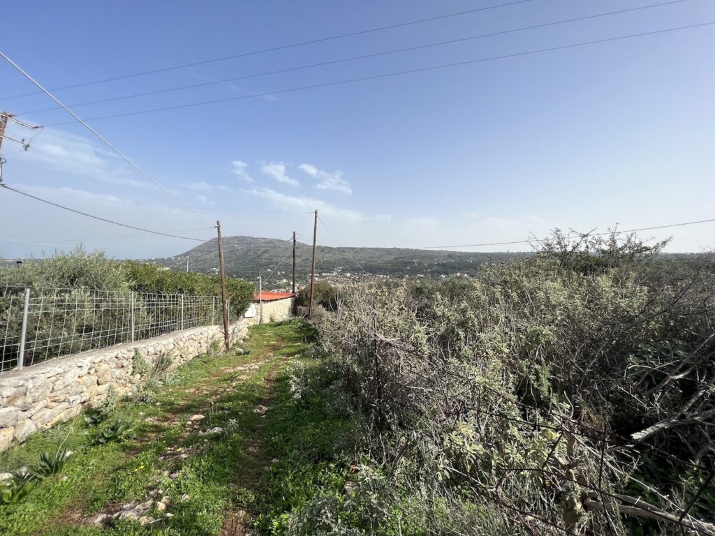 LAND PLOT IN GAVALOHORI WITH MOUNTAIN VIEW