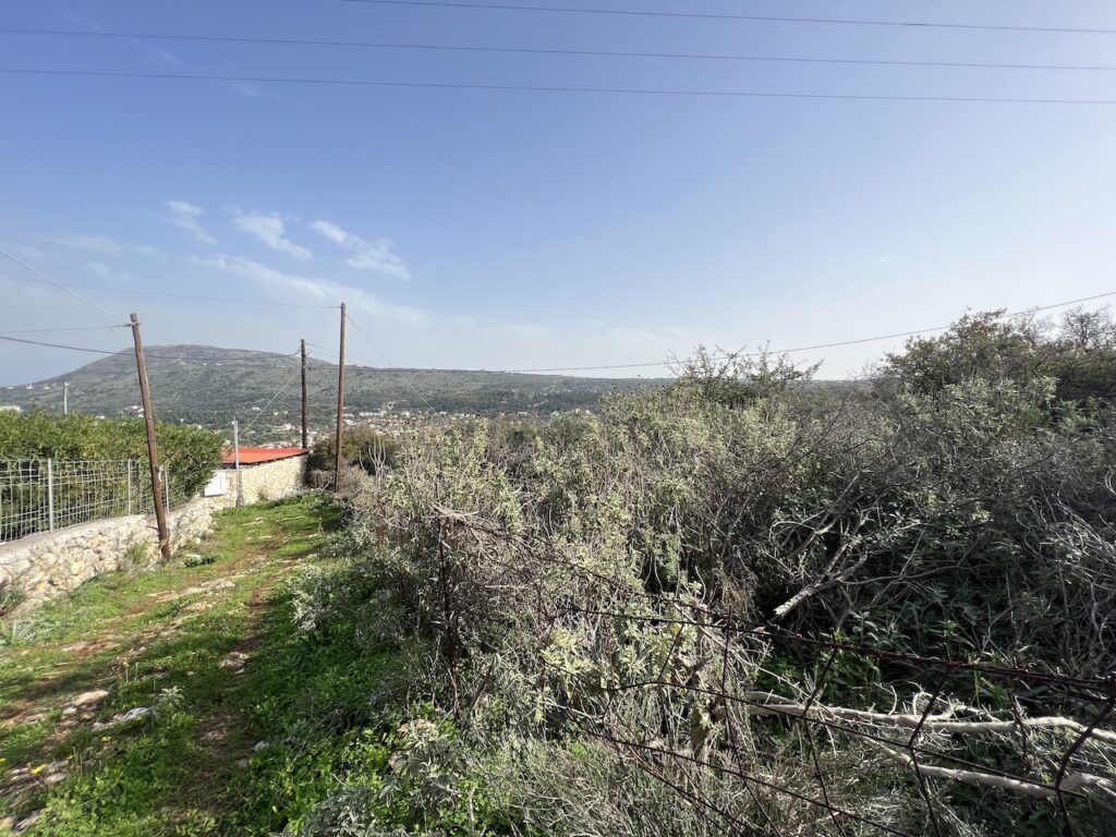 LAND PLOT IN GAVALOHORI WITH MOUNTAIN VIEW