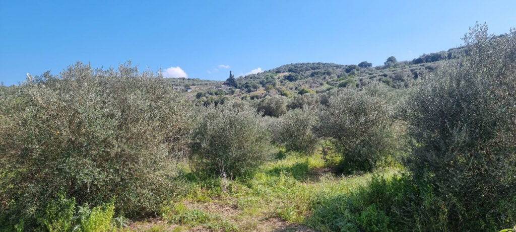 LAND PLOT WITH MOUNTAIN VIEW IN KALYVES