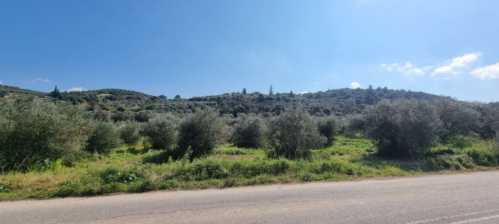 TERRAIN AVEC VUE MONTAGNE A KALYVES