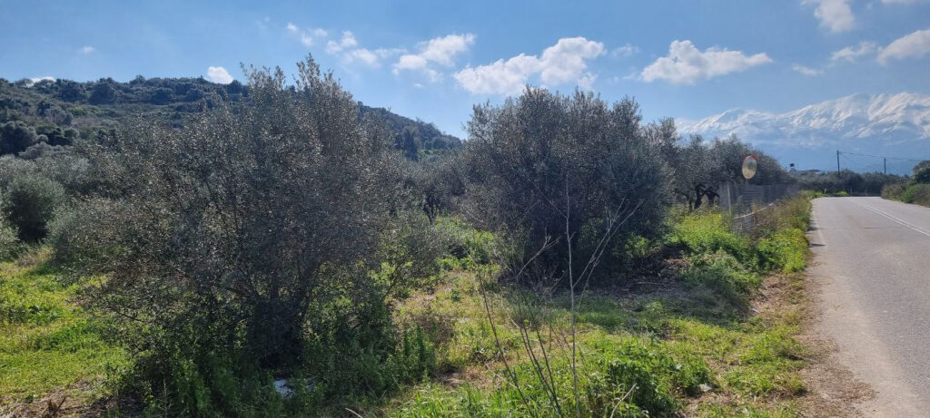 TERRAIN AVEC VUE MONTAGNE A KALYVES