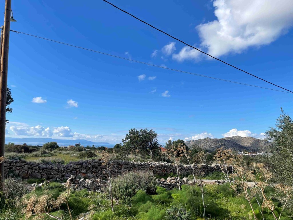 ΜΙΚΡΟ ΟΙΚΟΠΕΔΟ ΣΤΟ ΧΟΡΔΑΚΙ