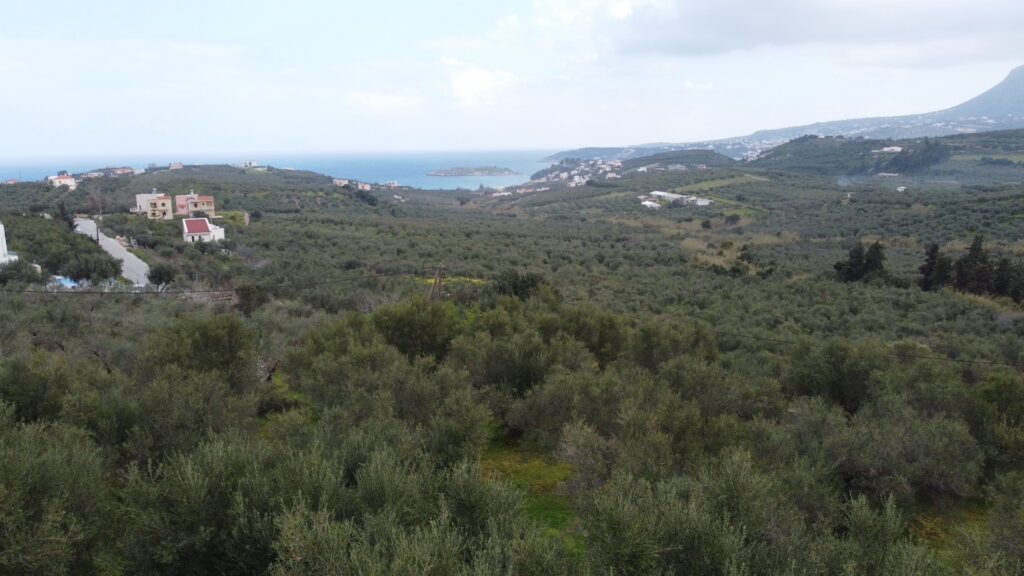 LAND PLOTS WITH A PRE APPROVAL FOR BUILDING IN TSIVARAS
