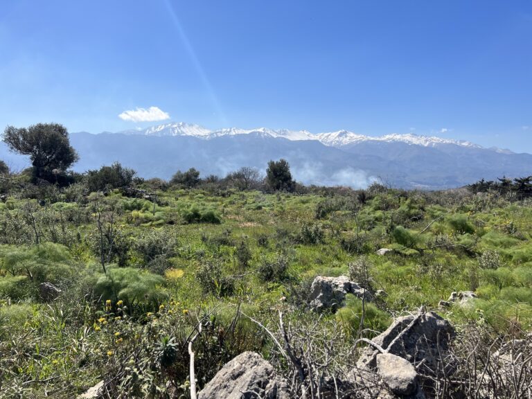 A LAND PLOT WITH MOUNTAIN VIEW IN VAMOS