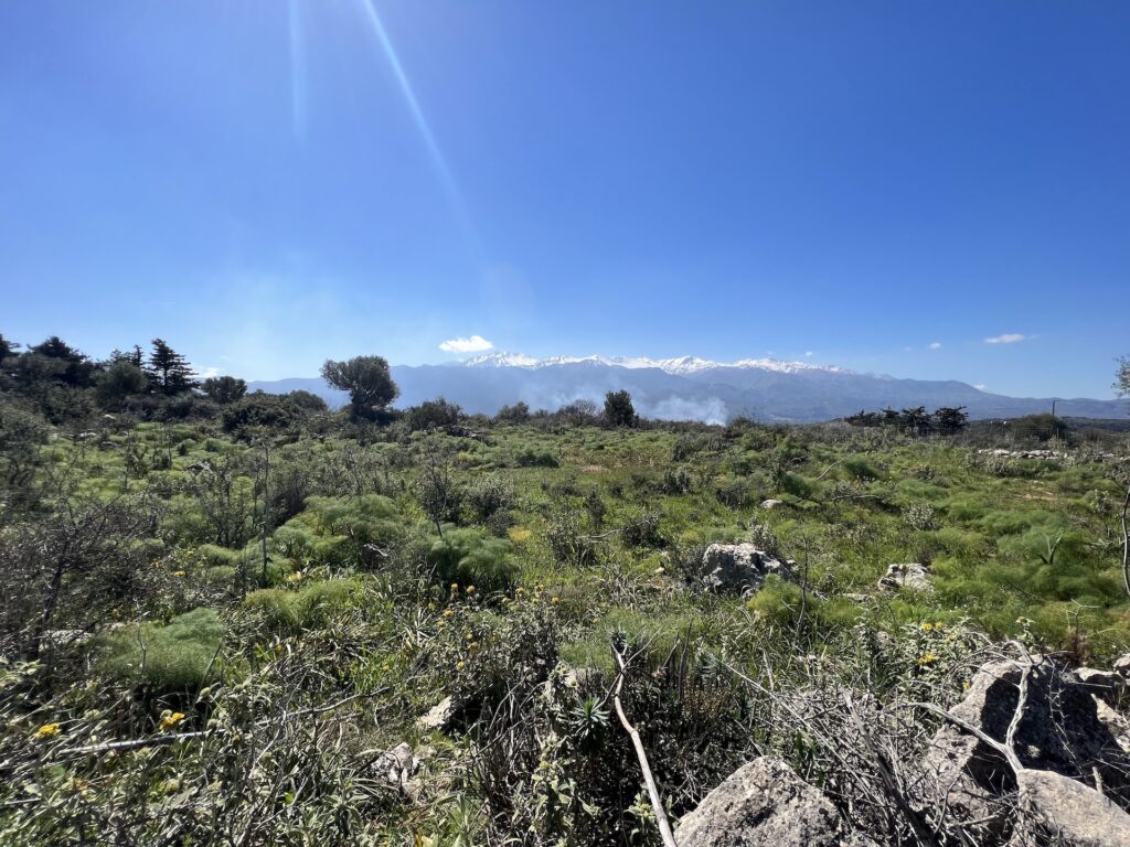 A LAND PLOT WITH MOUNTAIN VIEW IN VAMOS