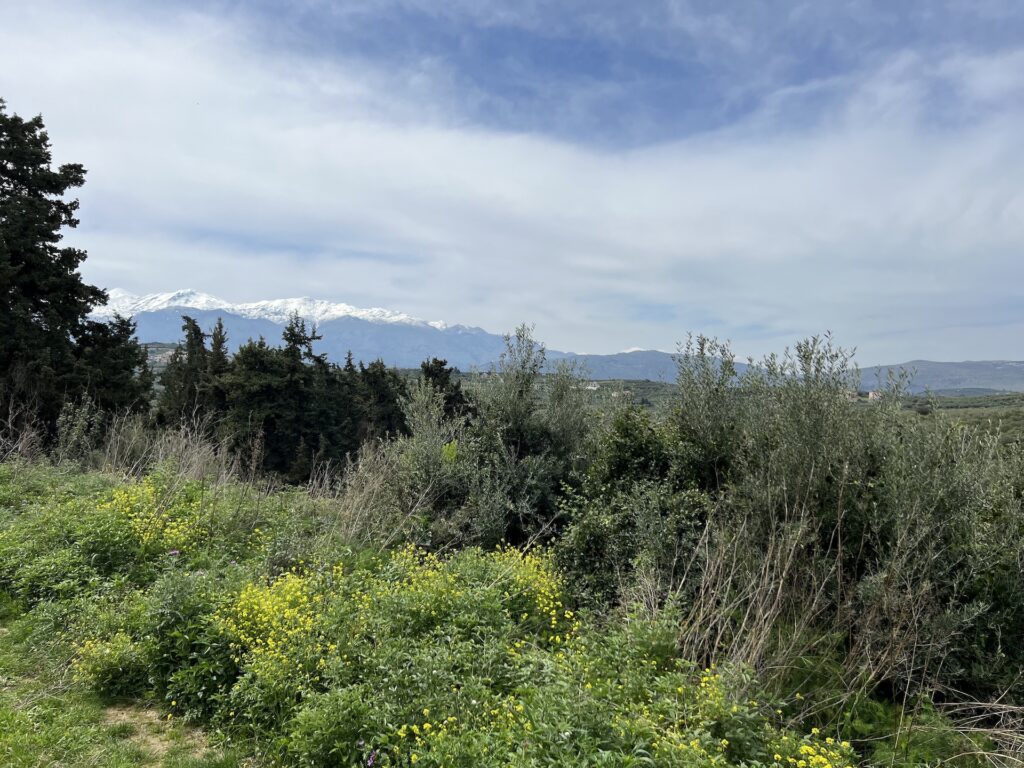 TERRAIN AVEC UNE VUE IMPRENABLE SUR LA MER ET LA MONTAGNE