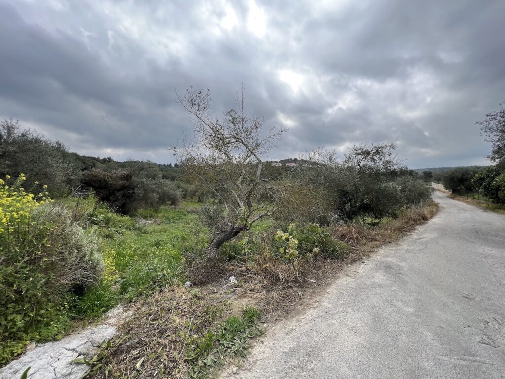PERFECT PLOT IN THE TSIVARAS VILLAGE WITH THE BUILDING APPROVAL FOR 2 HOUSES
