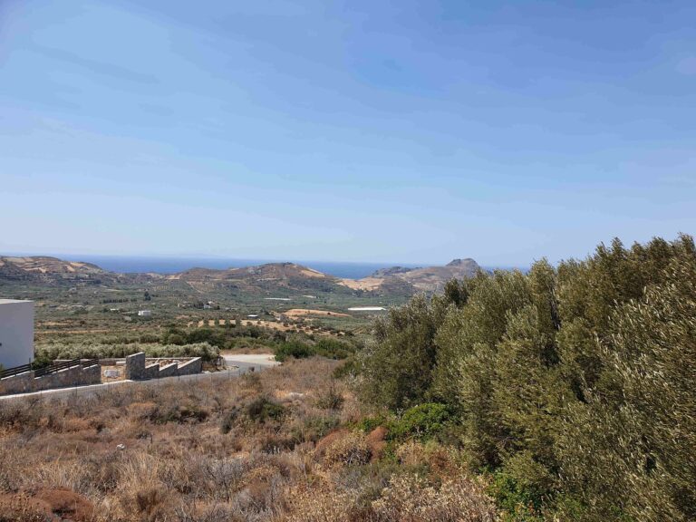PLOT WITH OLIVE GROVE AND AMAZING VIEWS IN SOUTH CRETE