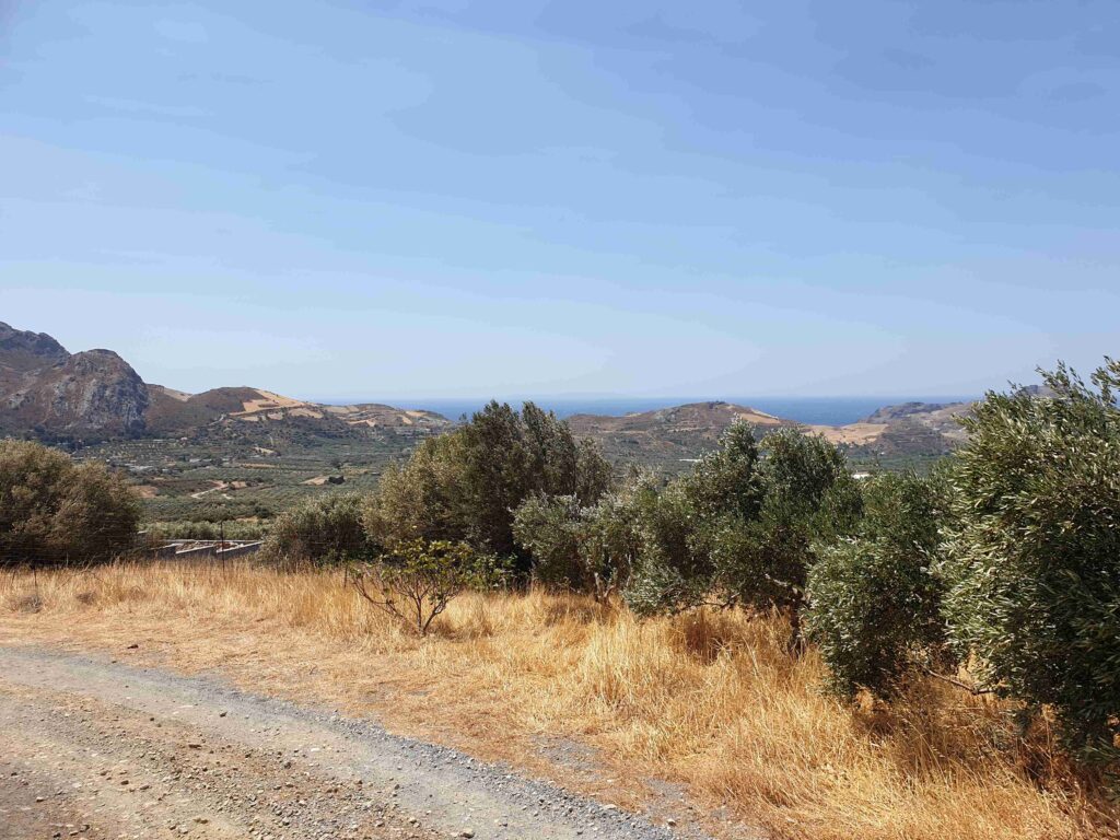 PLOT WITH OLIVE GROVE AND AMAZING VIEWS IN SOUTH CRETE