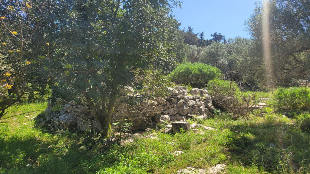 PLOT WITH A BUILDING LICENSE OF 2 HOUSES IN GAVALOHORI