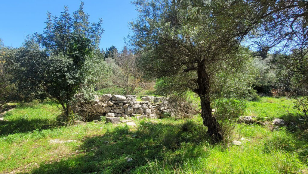 PLOT WITH A BUILDING LICENSE OF 2 HOUSES IN GAVALOHORI