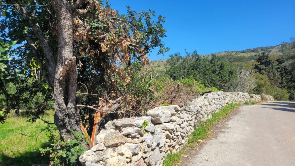 TERRAIN AVEC PERMIS DE CONSTRUIRE DE 2 MAISONS À GAVALOHORI