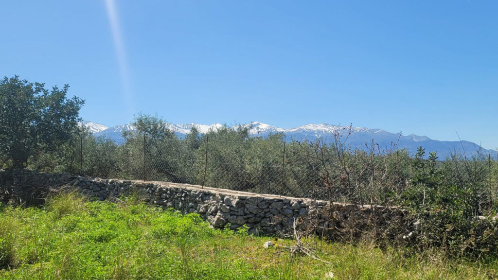 TERRAIN AVEC PERMIS DE CONSTRUIRE DE 2 MAISONS À GAVALOHORI