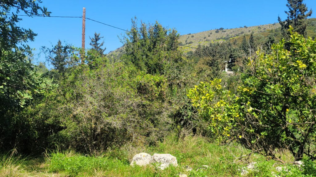 PLOT WITH A BUILDING LICENSE OF 2 HOUSES IN GAVALOHORI