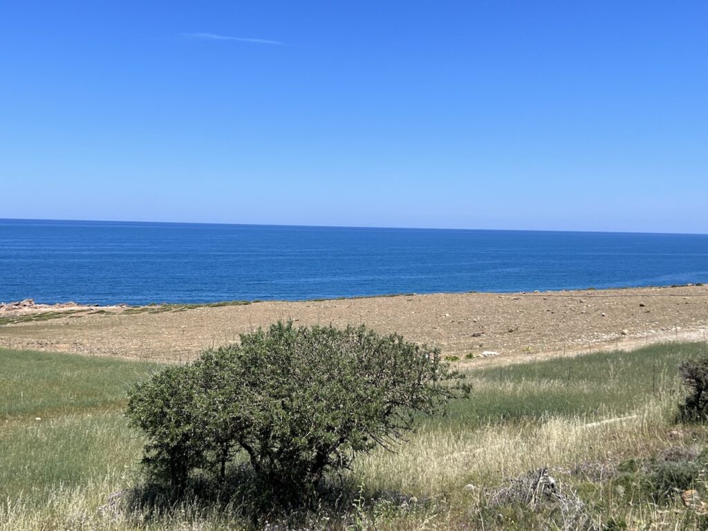 FRONT BEACH PLOT IN PANORMOS