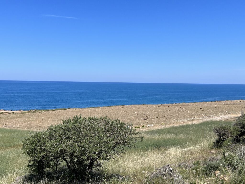 FRONT BEACH PLOT IN PANORMOS