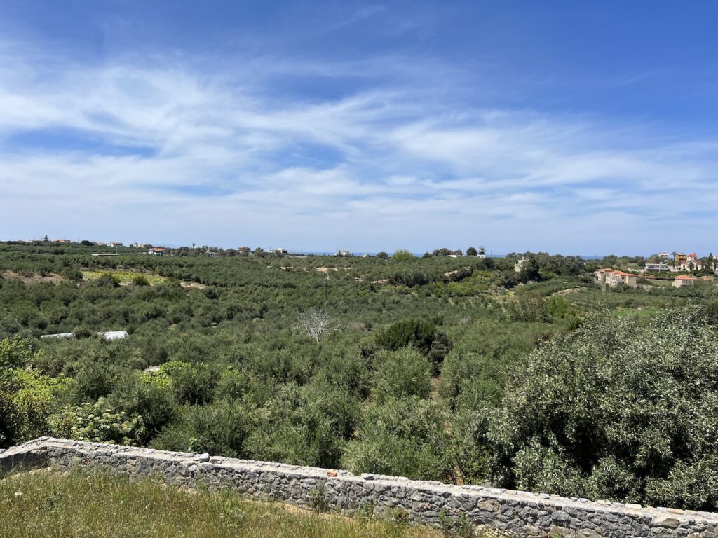 STONE HOUSE WITH OVERLOOKING OF OLIVE GROVE