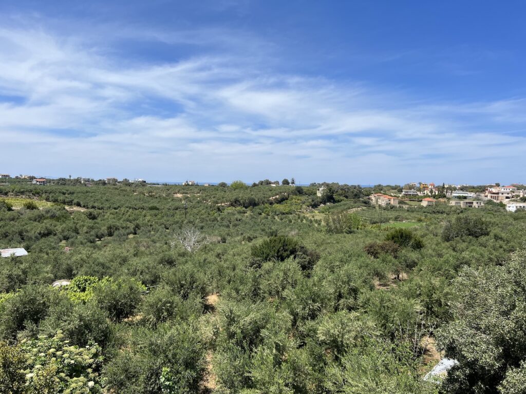 MAISON EN PIERRE AVEC VUE SUR OLIVIERE