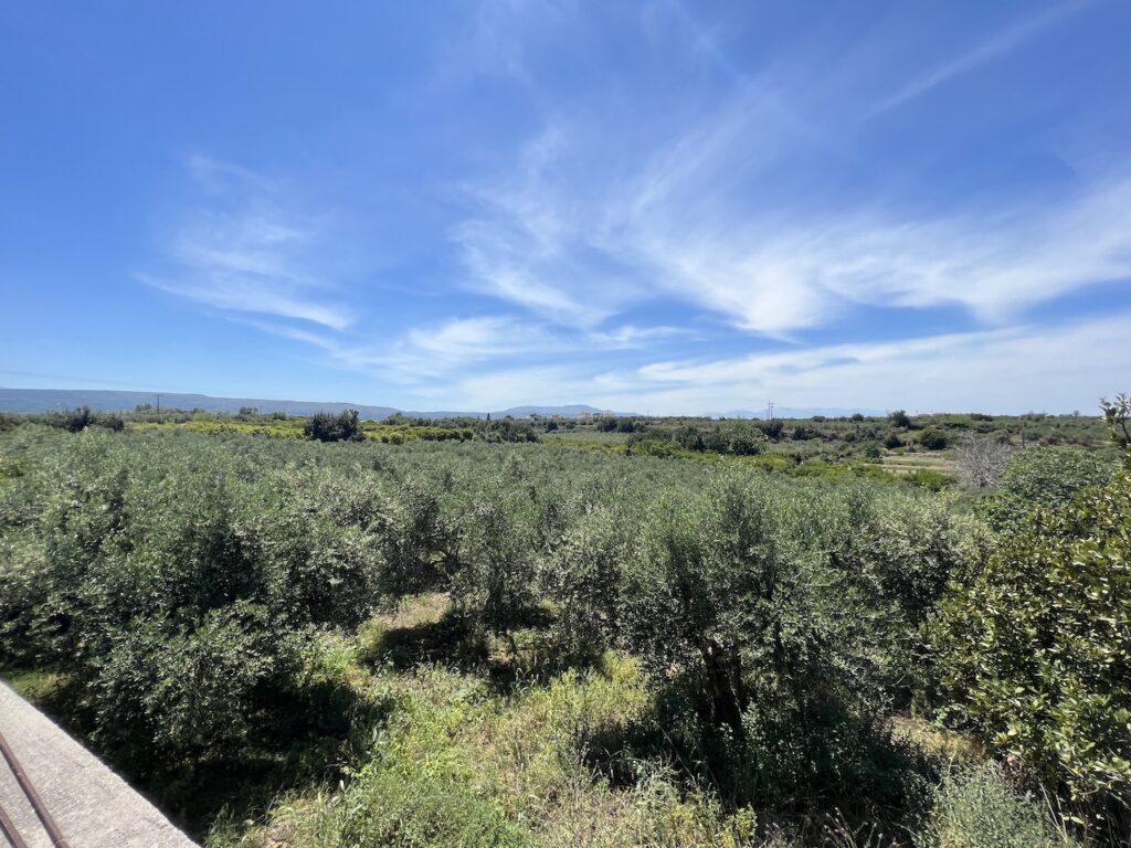 STONE HOUSE WITH OVERLOOKING OF OLIVE GROVE