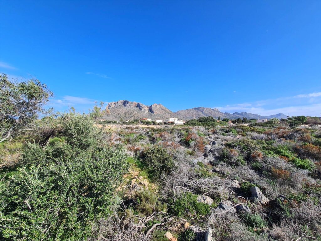 INVESTMENT OPORTUNITY PLOT FOR SALE IN STAVROS