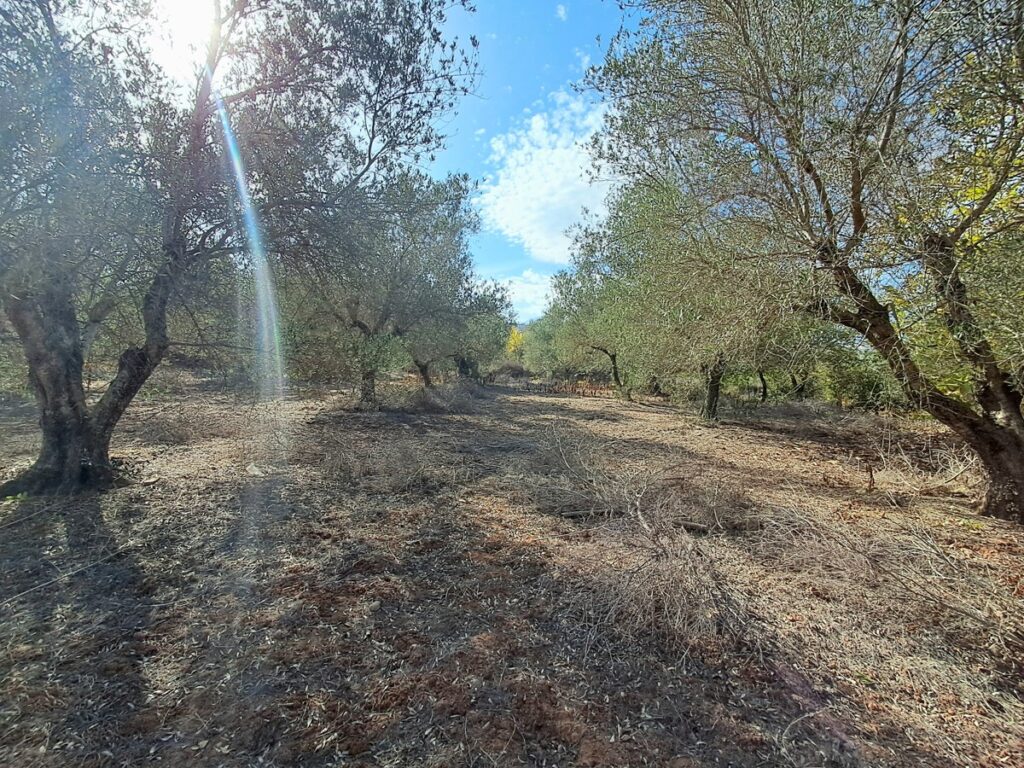 BIG PLOT IN ARMENOI FOR SALE