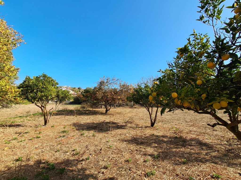 BIG PLOT IN ARMENOI FOR SALE