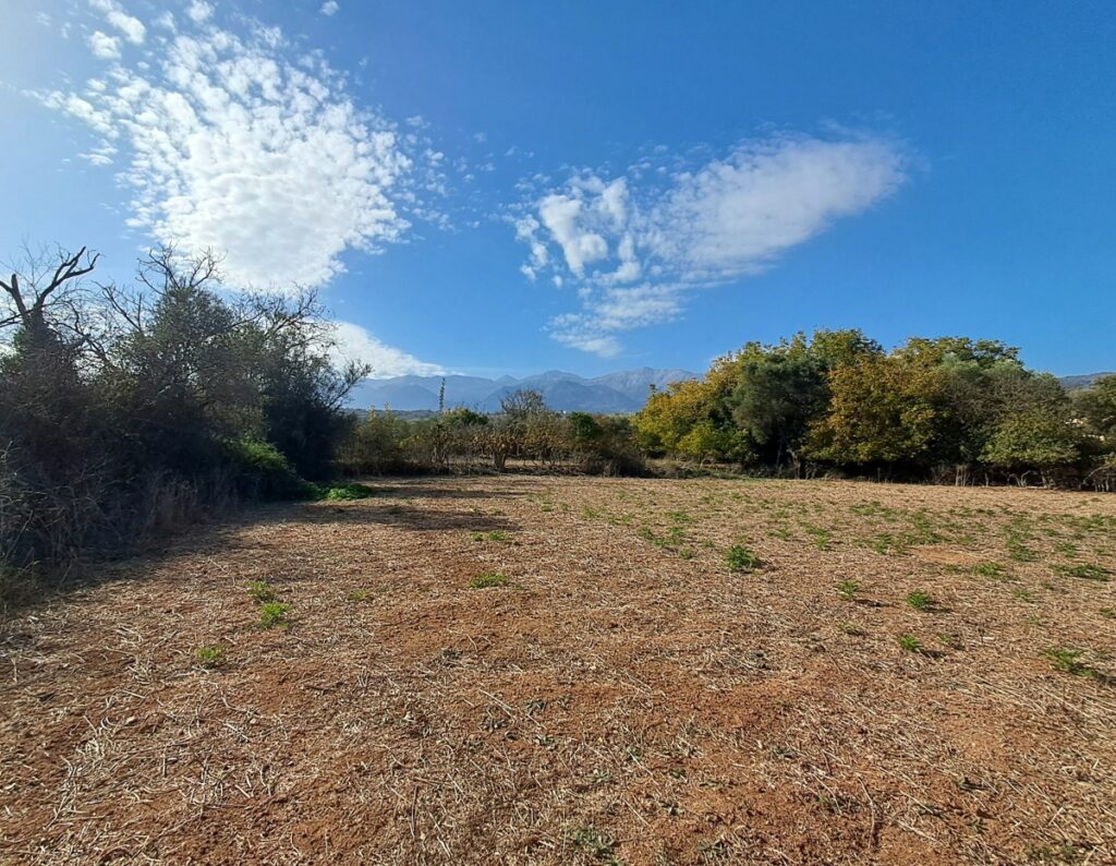 BIG PLOT IN ARMENOI FOR SALE