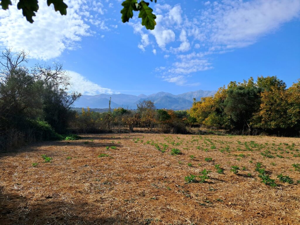 BIG PLOT IN ARMENOI FOR SALE